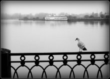 Vyborg (walk through town) / ***