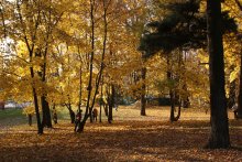 Autumn / ***