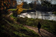 The road to autumn / *****************