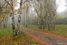 Autumn / ***