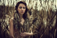 Rushes / ***