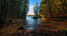 Moris Isl (Transparent Autumn) / Moris Isl (Transparent Autumn)