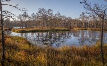 The October marshes / ***