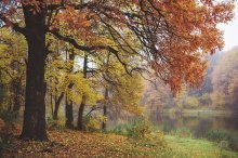 Warme Farben des Herbstes kalt / ***