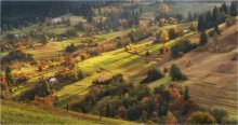 Velvet slopes of the Carpathians / ***