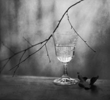 Autumn leaf, leaf last ... / .........................