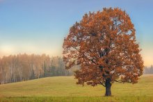 Fresh breath of autumn / ***