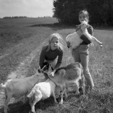 September. Pasture. / ***