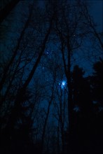 Samhain / ***
