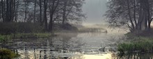 November at Usa River / ******
