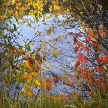 Autumn / ***