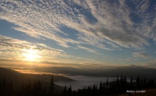 A New Day / ***