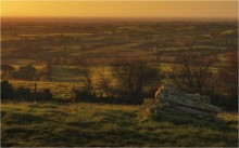 About the stone ... and the dawn gave ... / ***