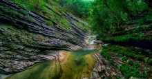 River Valley Kuago / ***