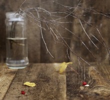 Our fall foliage has rung .... / .....................
