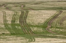 Roads / ***