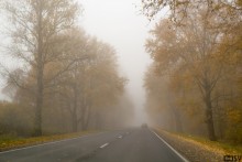 Road to Isborsk / ***