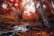 / Late fall / / ***