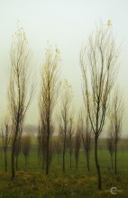 Autumn Welke. / ***
