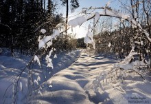 Arch in winter / ***