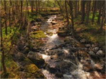 The jets of the tea ... Pearl of the river ... / [img]http://i023.radikal.ru/1311/40/66c2531752b5.jpg[/img]
