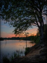 UK. Virginia Waters at Sunset / ***