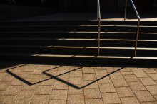 Fotonummer 443 / Voorburg, 2013