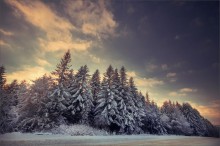 Winterreifen / ***