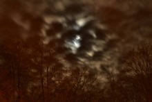 Full moon / ***