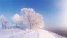 Frosty / ...................