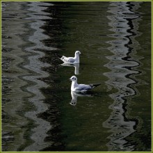 Together / ***