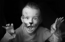 Tiger / ...