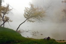 Duck Creek / ***