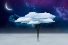Radiance of Perception / Radiance of Perception
