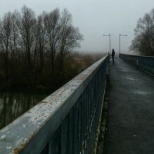 fog morning reflection / .......