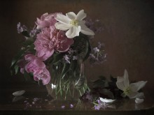 Floral Illusion ... / ***