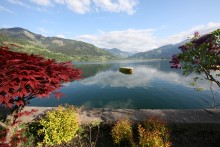 Lake / ***