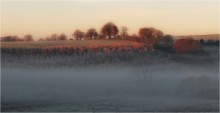 Frosty mist ... ... / ***