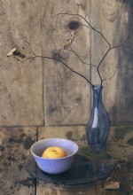 Dried branch ... / ....................