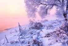 In captivity winter / ...................