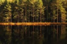 Dark waters of autumn ... / ...................