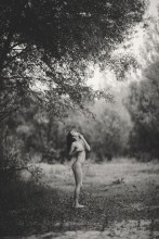  / ***