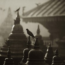 about faith in the goodness / ***