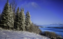 First days of snow / ***