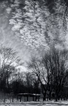 In the clouds / ***