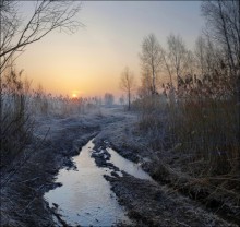 Crisp morning puddles. / ***