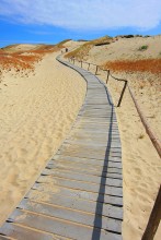 Road / ...