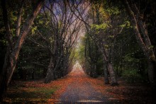 Seasons / ***