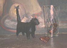 Schwarze Katze und andere / ***