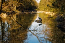 Autumn on the River / ***